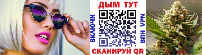 Сколько стоит Шенкурск NBOMe Меф ГАШ АМФ