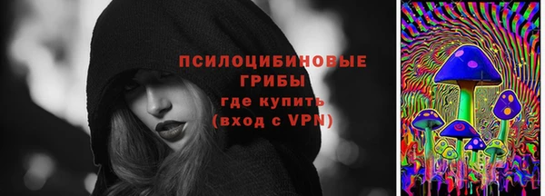 шишки Мегион