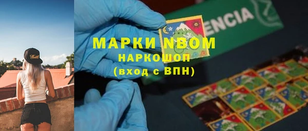 ешки Медногорск