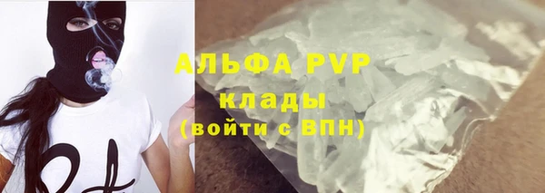 шишки Мегион