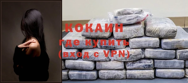 шишки Мегион