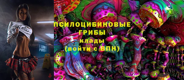 ешки Магас