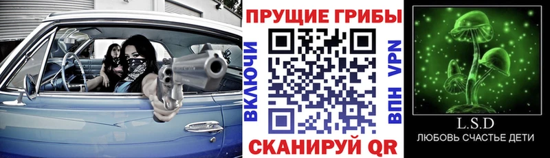MEGA tor  Шенкурск  Псилоцибиновые грибы ЛСД  где купить  